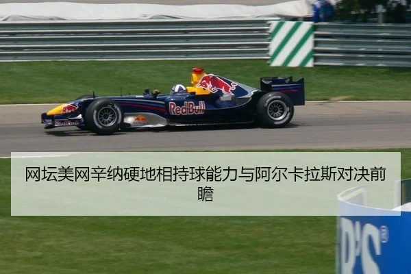 wang-tan-mei-wang-xin-na-ying-di-xiang-chi-qiu-neng-li-yu-a-er-ka-la-si-dui-jue-qian-zhan-3-336.jpg