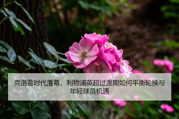 ke-luo-pu-shi-dai-luo-mu-li-wu-pu-ying-chao-guo-du-qi-ru-he-ping-heng-lun-huan-yu-nian-qing-qiu-yuan-ji-yu-3-890.jpg
