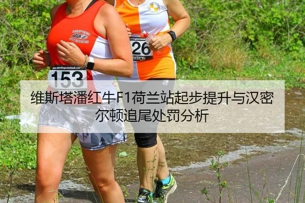 wei-si-ta-pan-hong-niu-he-lan-zhan-qi-bu-ti-sheng-yu-han-mi-er-dun-zhui-wei-chu-fa-fen-xi-2-723.jpg