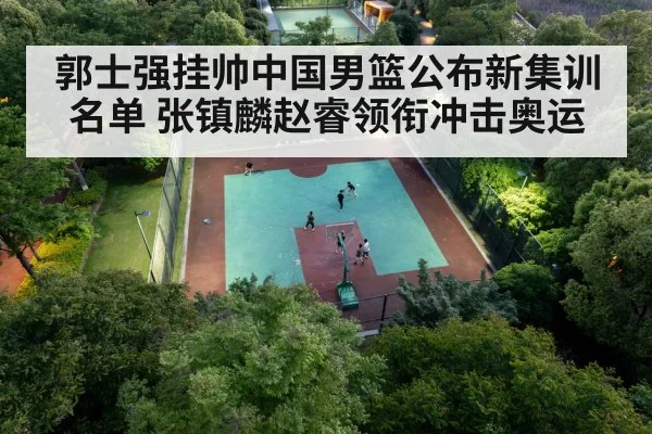 Chinese basketball team